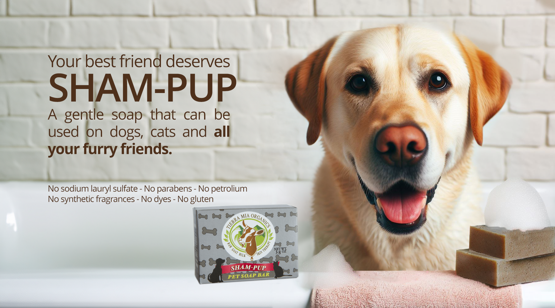 golden labrador retreiver in a bath tub with two soap bars and a packaged soap bar of Sham-pup pet soap bar